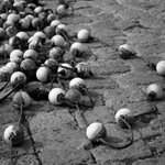 Až tě chytí do svých sítí...