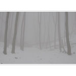 .............,v bielom zavoji