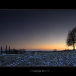 Nostalgia svätých..