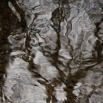 Stařec, který pil moc kávy