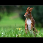 Na válečné stezce