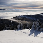 Ráno na Sněžníku II