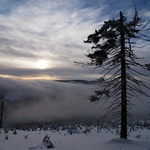 Ráno pod Sněžníkem