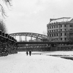 Žije to na mostě i pod ním .