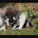 Díl 2. - Jogín: Fakt že jo!