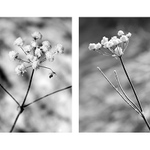 *** Rozcvička ...á raz a dva :)...***