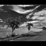 ... z jihočeských toulek ...