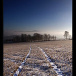 ... polem, nepolem ...