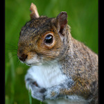 ... co se deje v trave II ...