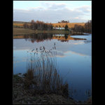 Opuštěné koupaliště