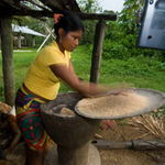 Když čistím rejži, poslouchám zákrutu...