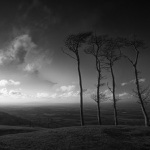 Chactonbury Ring | West Sussex | UK