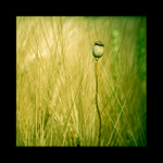 Rozhledna pro nejmenší.. lll