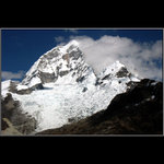 /// Bílej tesák ///