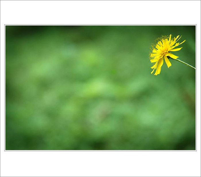 .: NÁVŠTĚVNICE :.