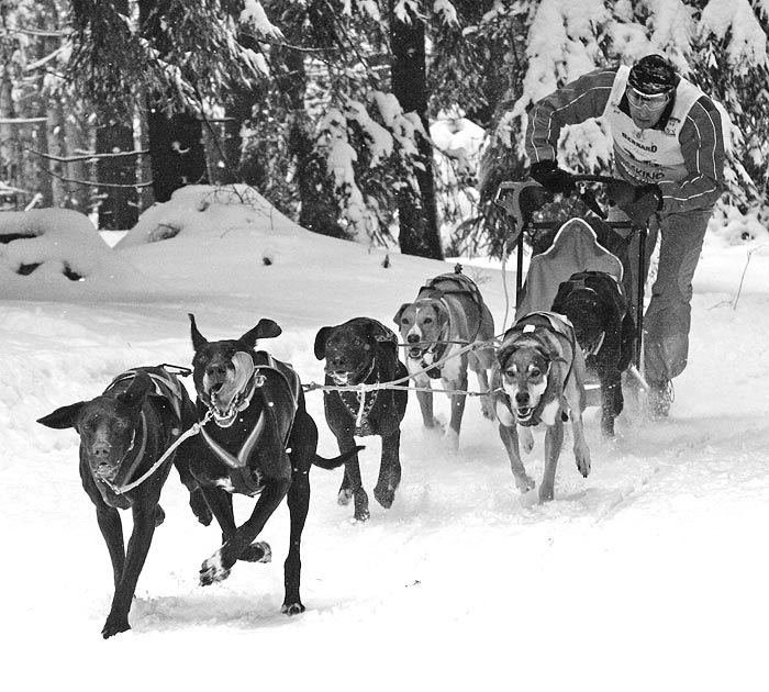 Tři studně 2009 II.