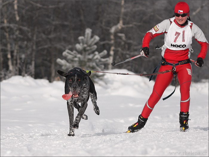 mushing