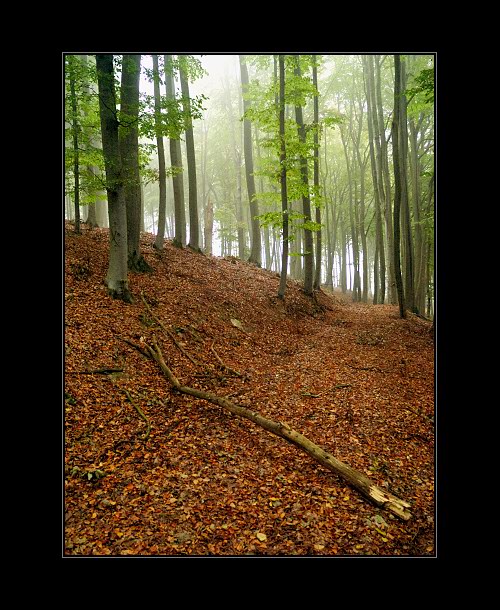 z čekání na hejkala