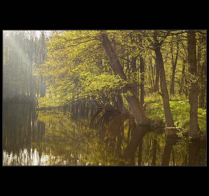 ...Za Světlem...