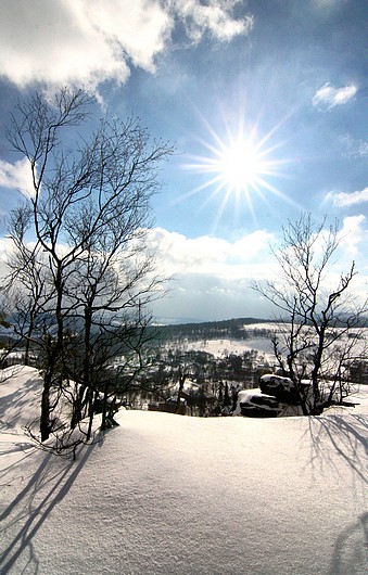 Tisá
