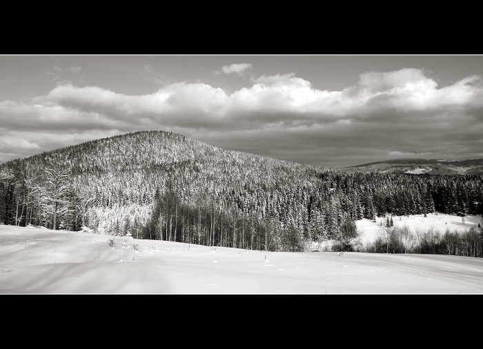 Sumava