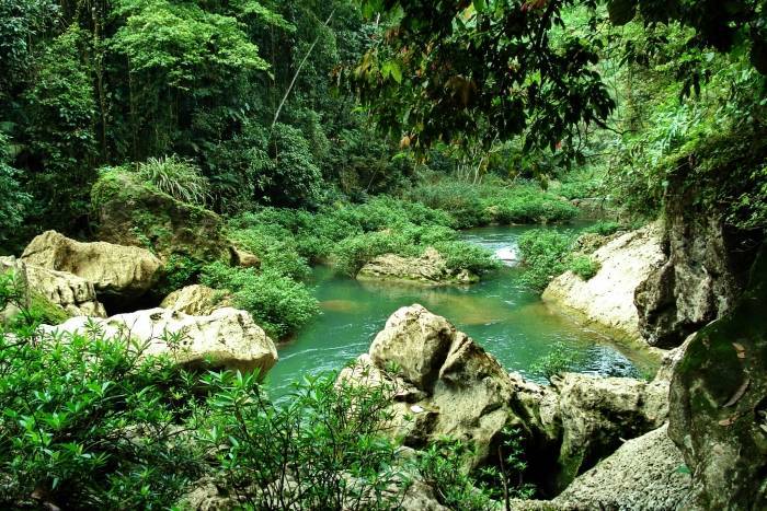 ...Welcome to the jungle...