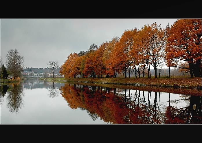 Podzim u Vltavy/zrcadlení