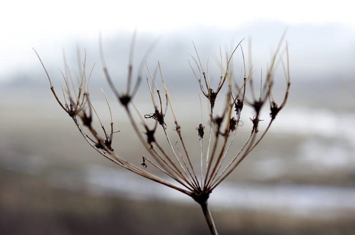 ...skoro jako podzim