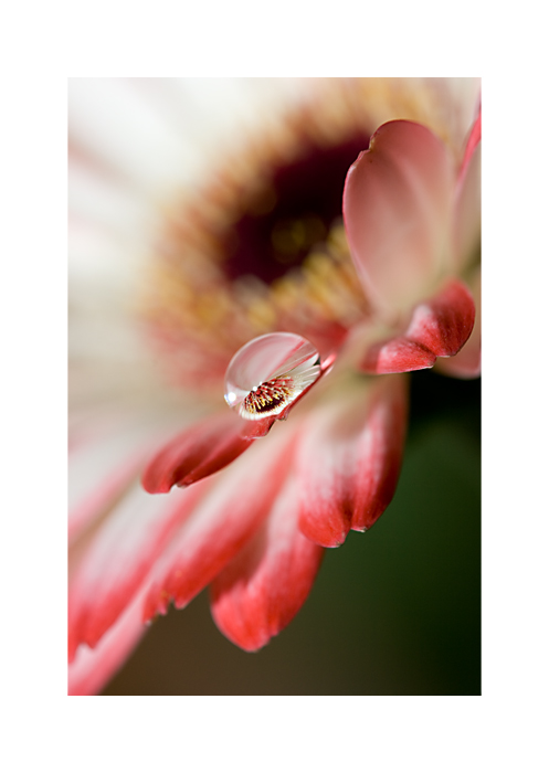 Through the magnifying eye