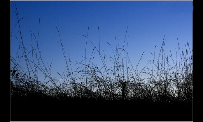 Through The Vixen´s Eyes (On The Edge The Night and Day)