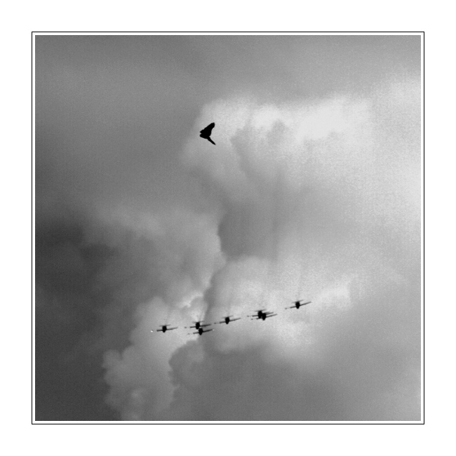 Antagonism