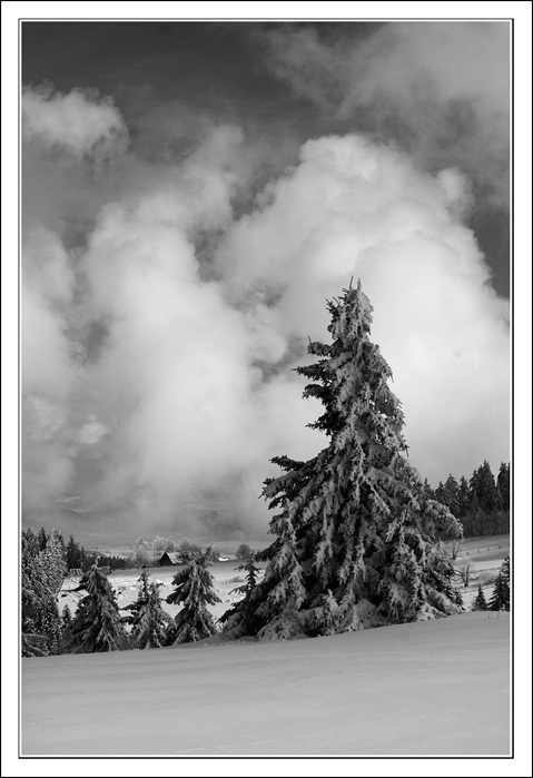 Krakonošovo