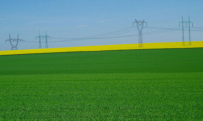 Polní