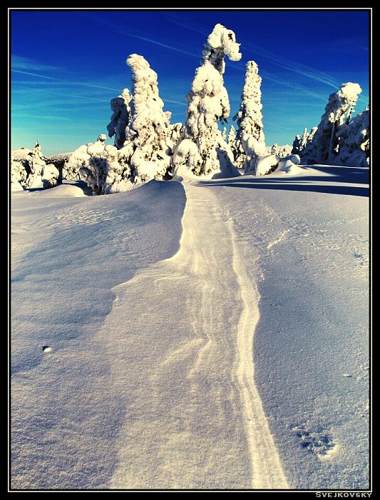 Poloha ležícího střelce