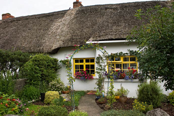 Adare