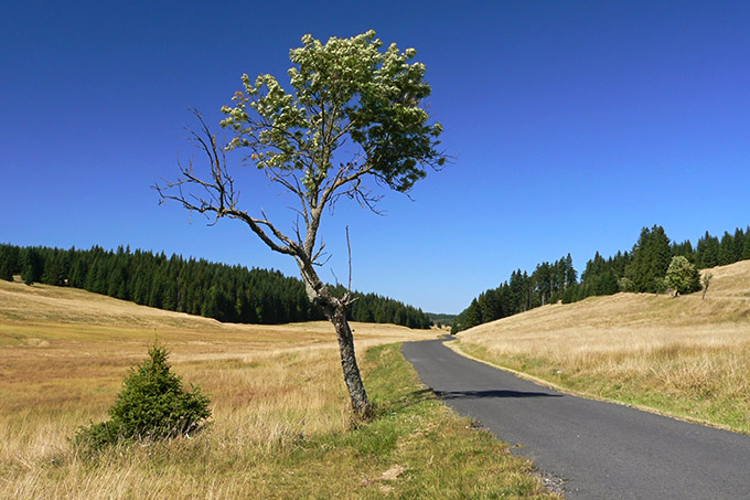 Krušnohorská samota