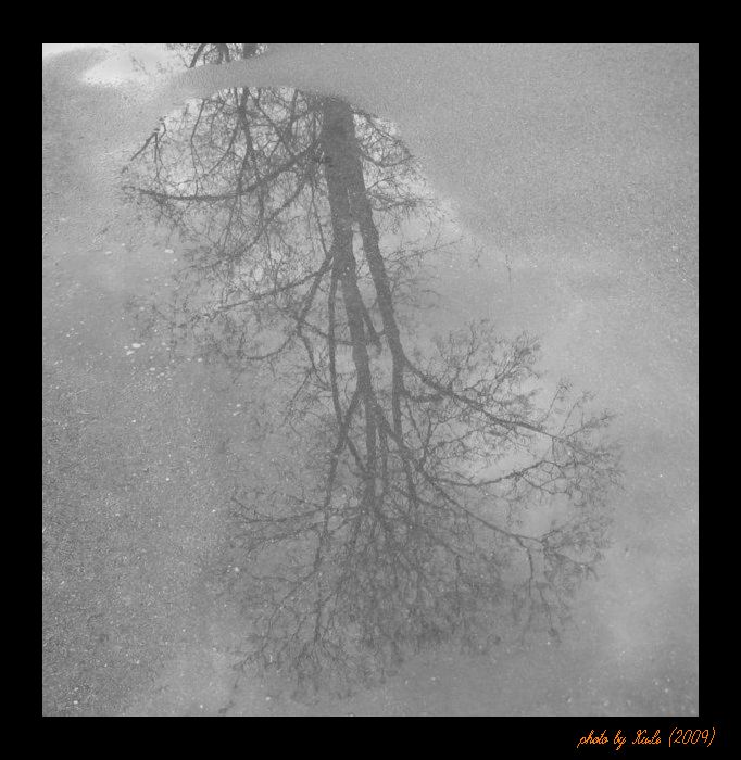 strom