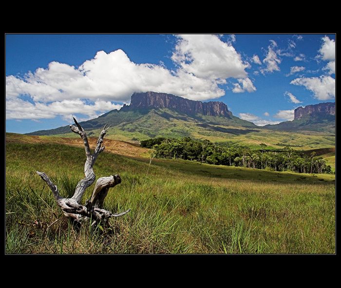 Cesta ke stolovým horám