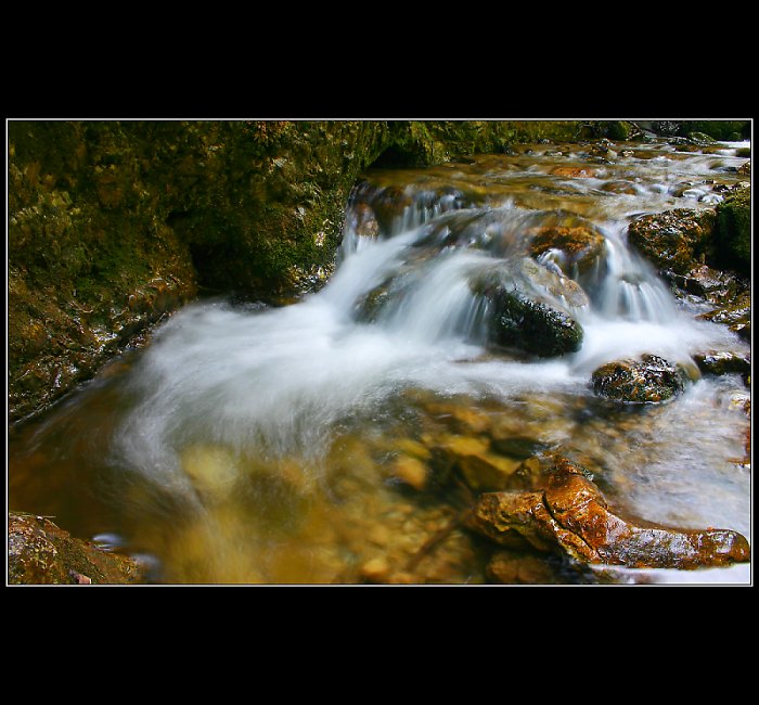 Potůček