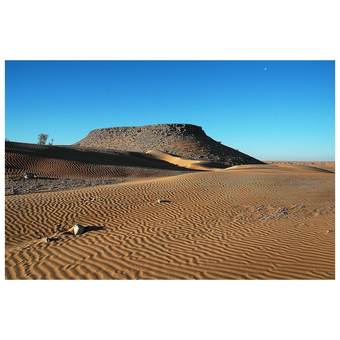 Sahara