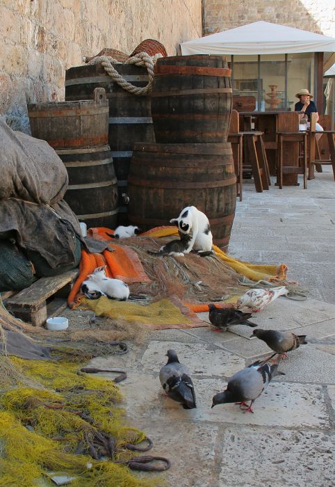 siestra v prístave 2