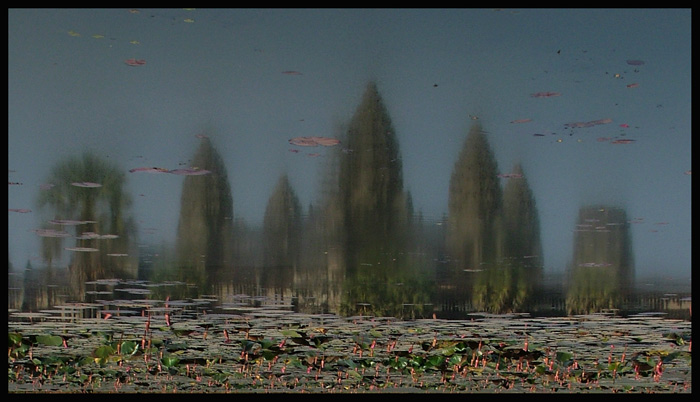 Angkor