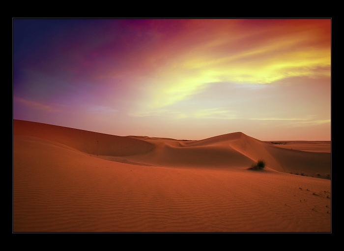 Thar Desert