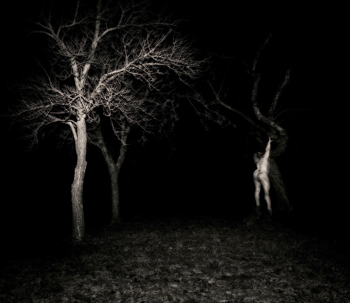 Depresivněidealistický návrat do korun stromů