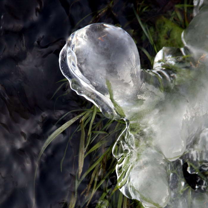 Nino, jurodivý zmrzlinář padovský