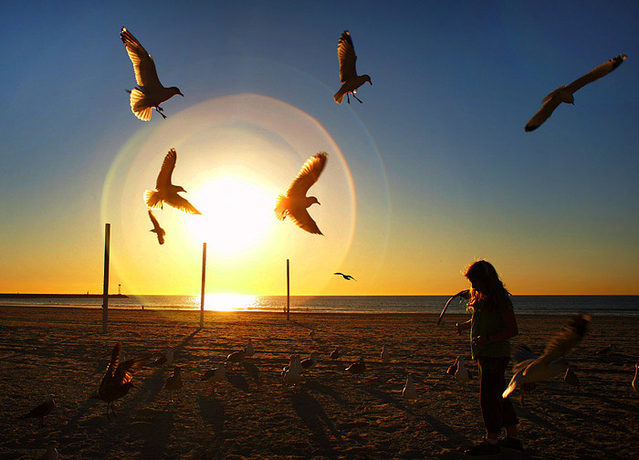 Mission Beach, SD