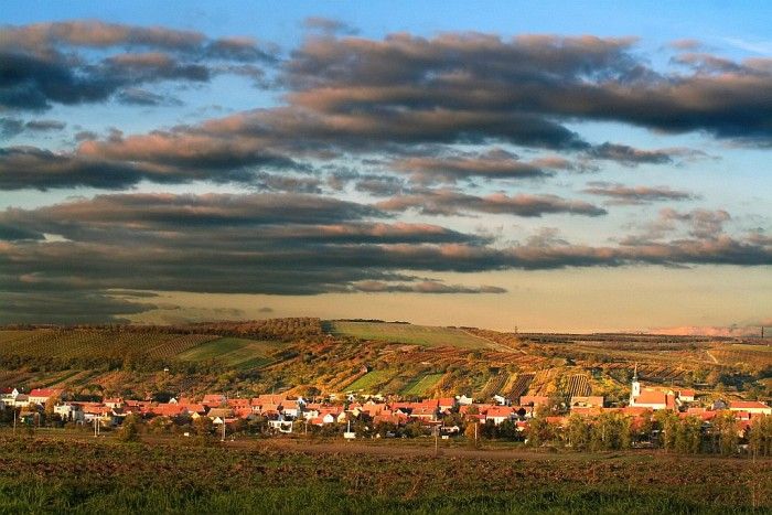 Vesnička