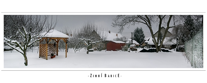 Obyčejná zimní