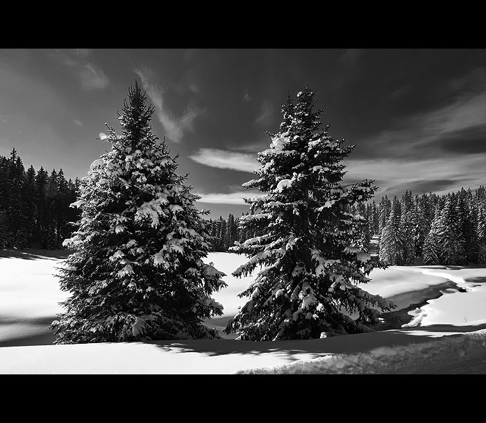 ... tudy cesta nevede ...