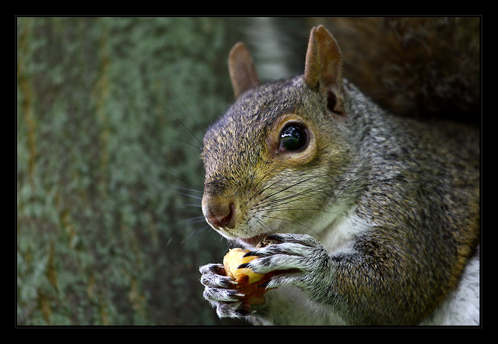 ... to je dobrota !! ...